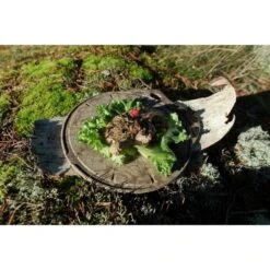 Kupilka Kaarna M - Planche à Découper-Original (Marron) -Offres Camping Boutique kupilka kaarna m planche a decouper original marron 2